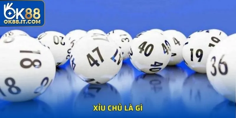 xỉu chủ là gì